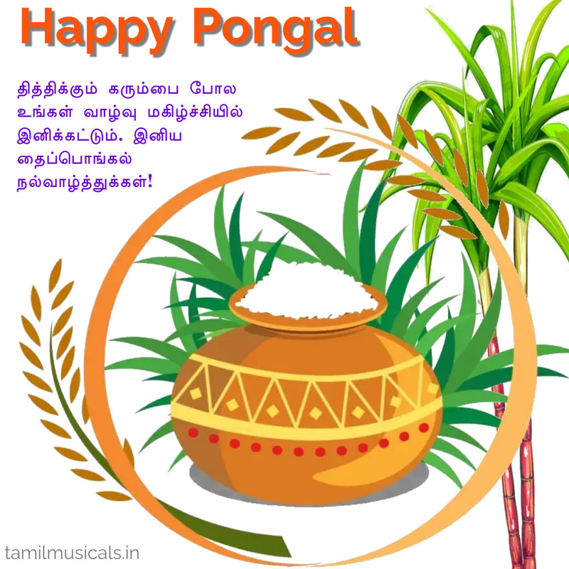 Pongal Greetings - Quotes, Wishes, Messages, Images, Cards, Greetings and GIFs Pongal Greetings - Quotes, Wishes, Messages, Images, Cards, Greetings and GIFs