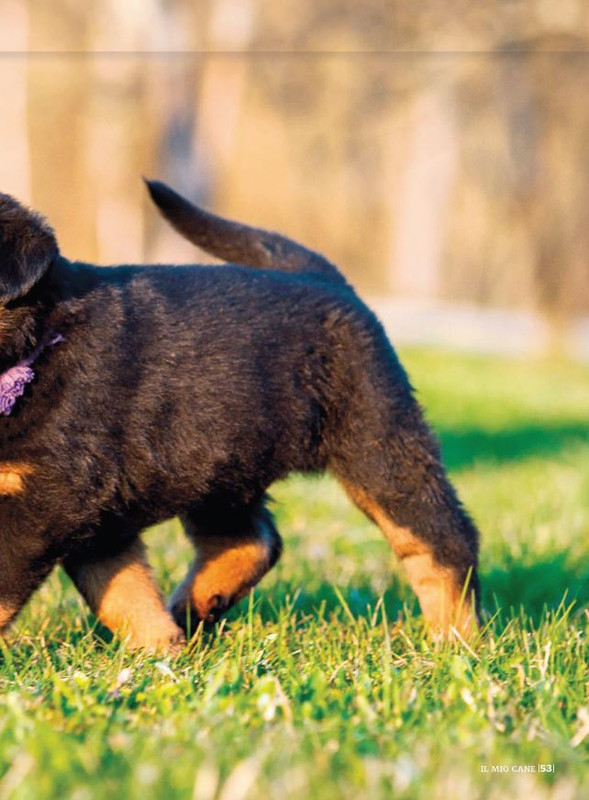 Il M C Mar 2023 (10)