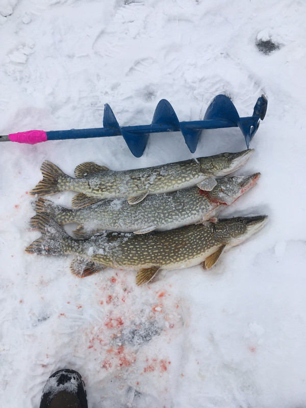 6459611B-D932-4542-B22D-B8707A242A26