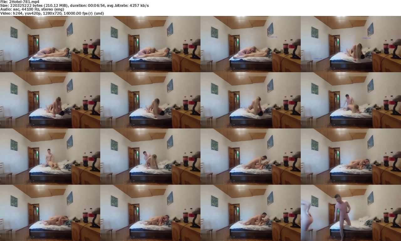 17072023130602screenshot