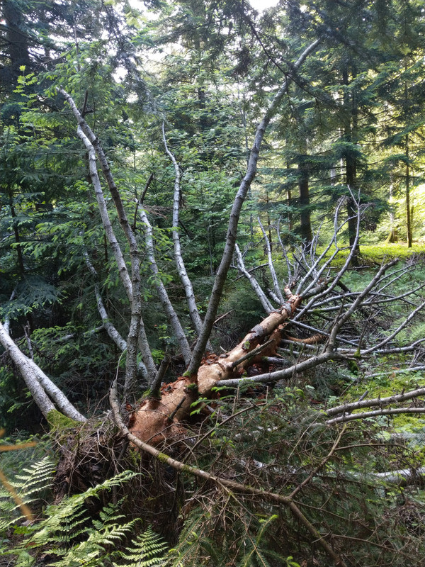 50E018FA-5B4A-4F55-A303-9E44D42B8D30