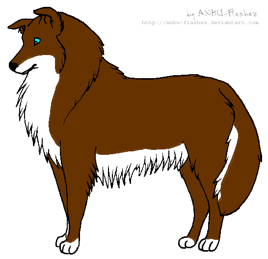 WP-Rough-Collie.png