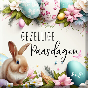 zaterdag.jpg ”border=