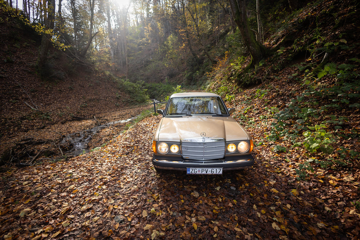 241102-Mercedes_W123_300D_112