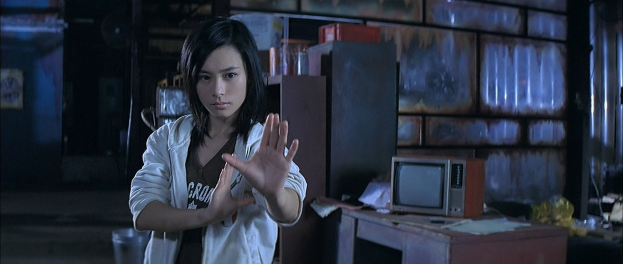 House of Fury 2005 Extras 1080p BluRay x265 HEVC 10bit EAC3 7 1 Chinese English SAMPA QxR