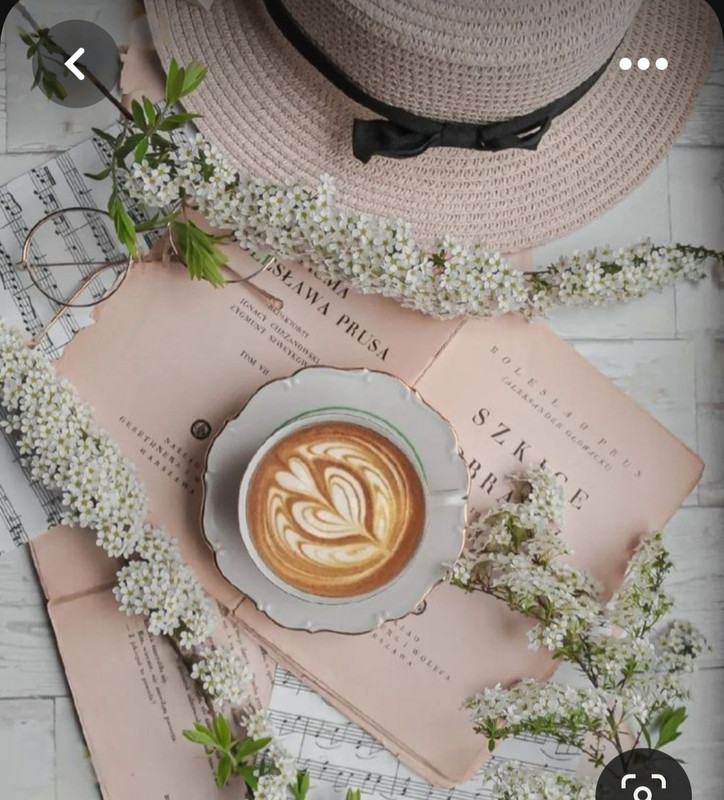 Screenshot_20230517_005939_Pinterest