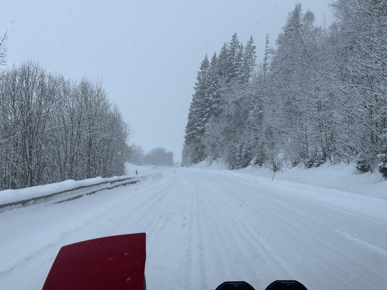 [Immagine: IMG-9075.jpg]