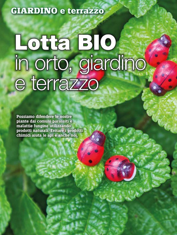 Il Mio Giar Mag-Giu 2020 (7)