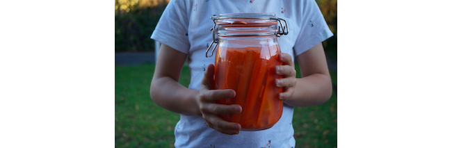 fermented-carrot-sticks