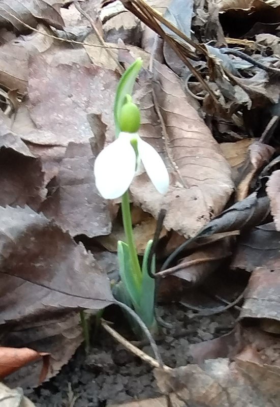 изображение_viber_2024-02-05_13-23-33-011