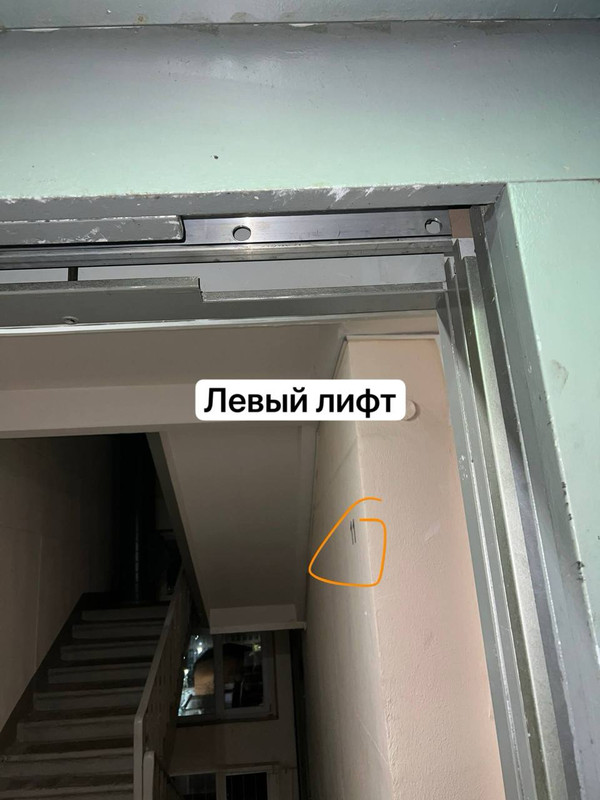IMG 4590
