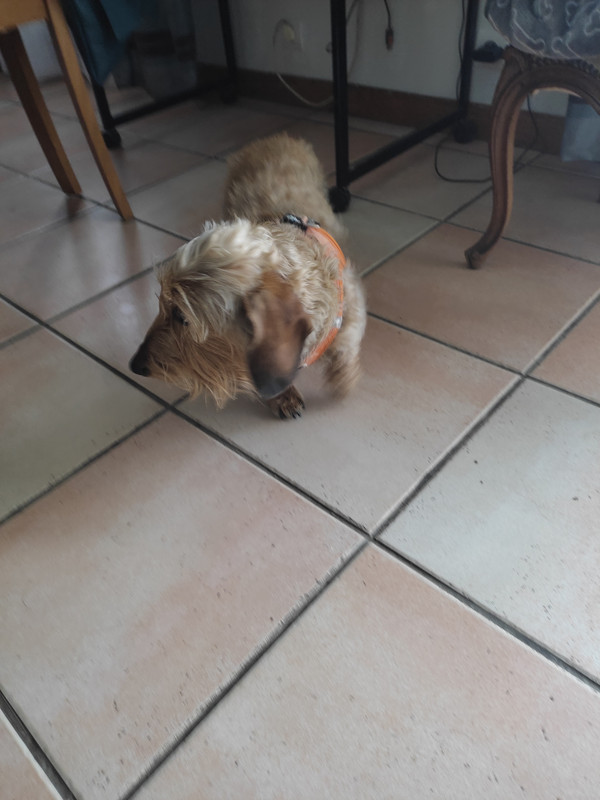 [Image: IMG-20230926-112029.jpg]