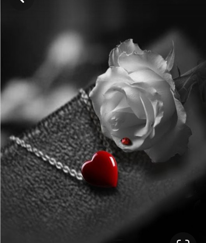 Screenshot_20230427_232339_Pinterest