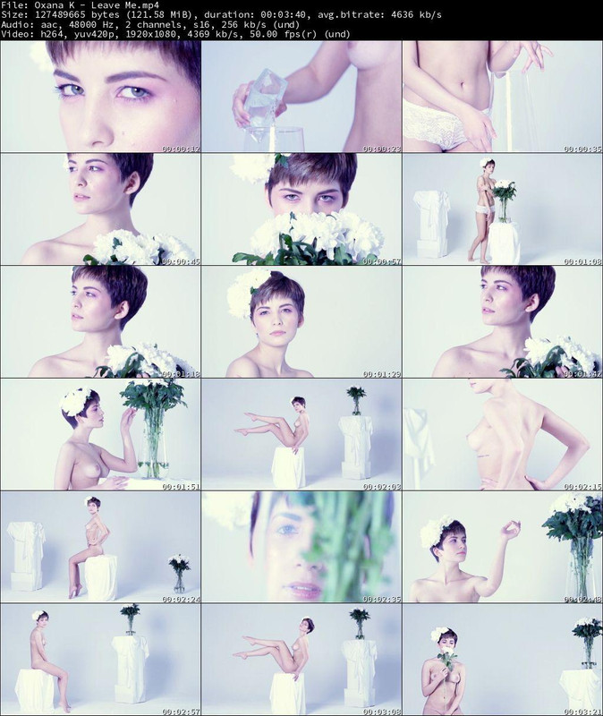 _c0deb76b27c72c7c4d064c75d510d6b2