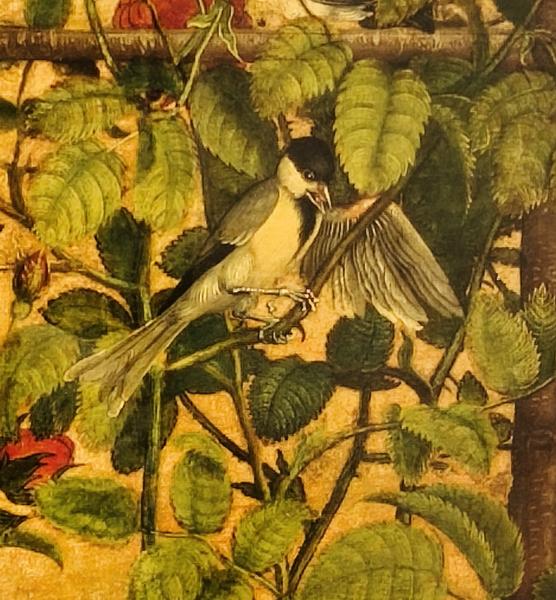 París: Exposiciones de Renoir, Matisse, Rousseau, Miguel Ángel y Rodín etc etc - Blogs de Francia - Museo del Louvre: Miguel Ángel, Rodin y Martín Schongauer (138)