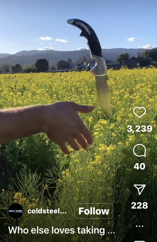 1B8B298C-E5DD-4786-BB8C-04ED4403129F