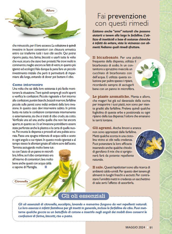 Sal Nat  Mag 2024 (10)