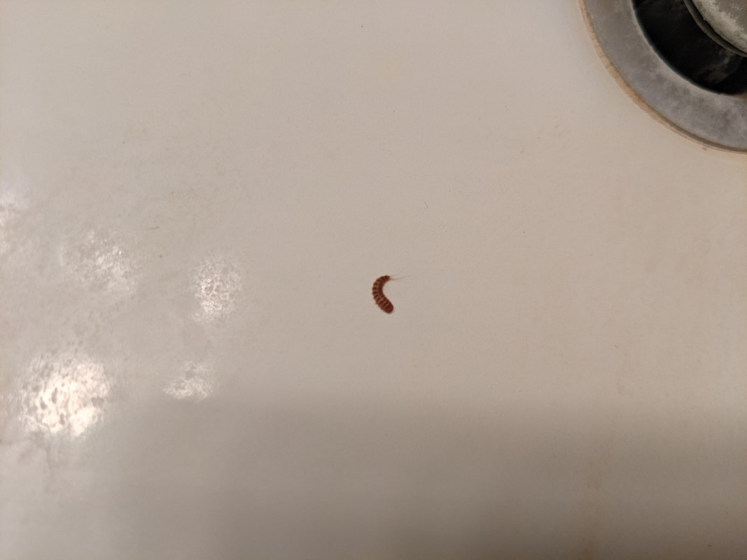 PXL_20210329_043153267.MP