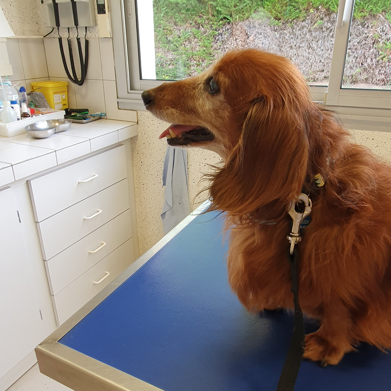 [Image: 20210820-182638.jpg]