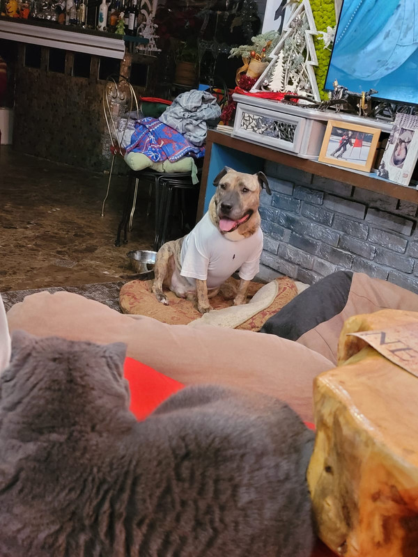 29AED6FE-E444-4514-8B91-16F130860FAF