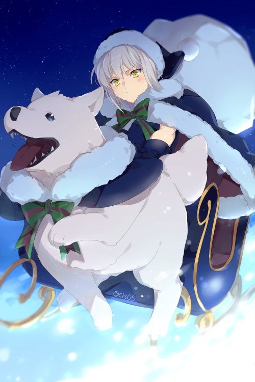 artoria-pendragon-santa-alter-and-cavall-the-2nd-fate-and-1-mo