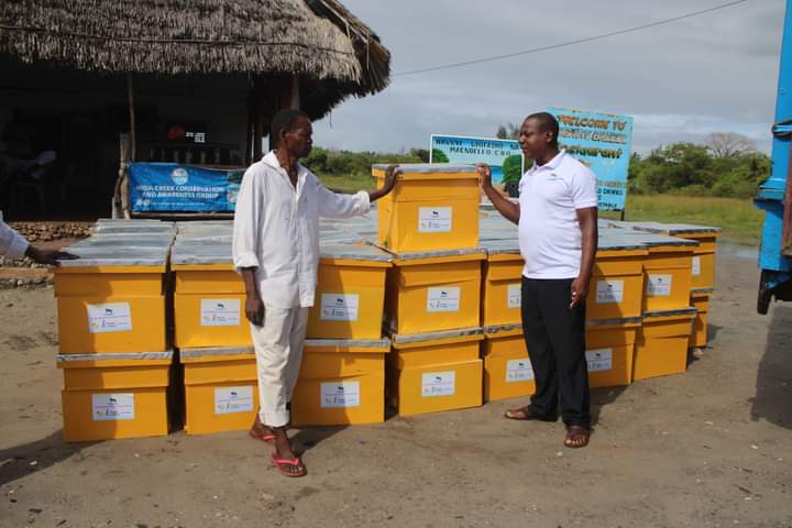 Beehives-for-honey-production