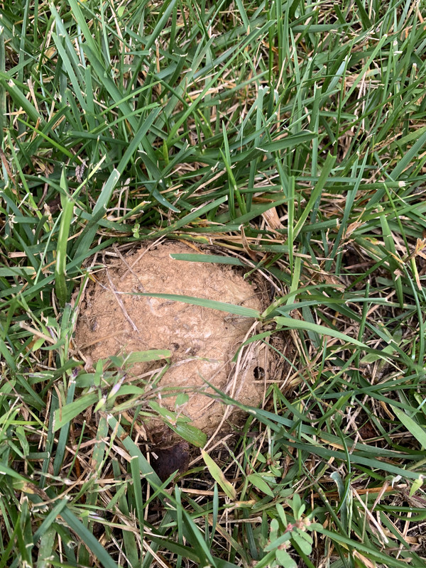 236B3AD9-821B-40AB-9B50-6DF15D98FB03