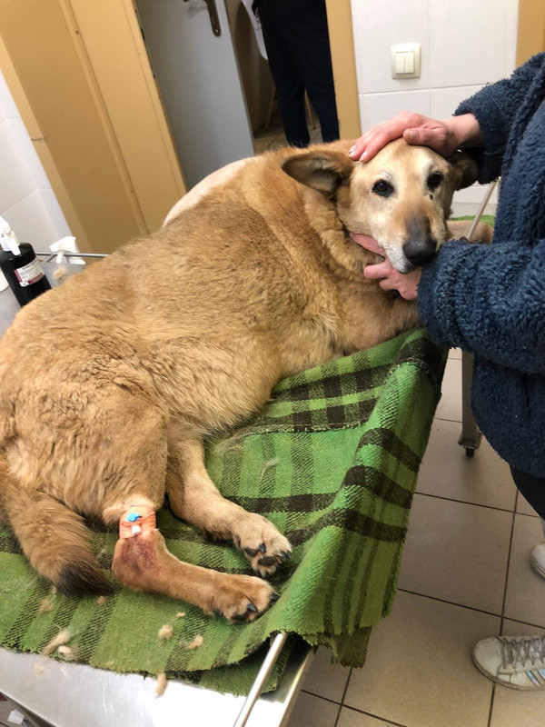 193D58D7-EED6-4CFC-BC29-F5AD66848FBB