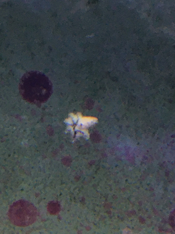 0B1FAB35-7C10-4EBD-9834-E17C1ADB7026