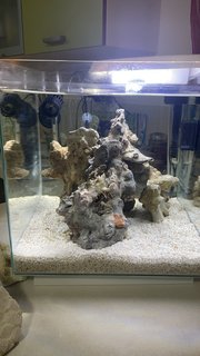 4717D21C-D88C-4EE5-A1A0-77F382E082FB