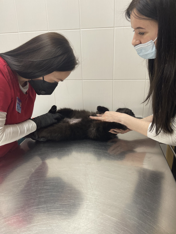 4C3C3EB5-AFD3-4479-A073-000115B0A6C9