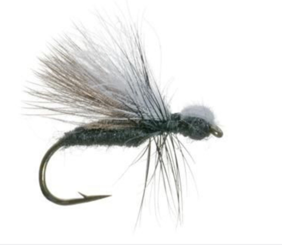 5CB8C0A1-208D-40A0-81D5-FB38F8B1BC24