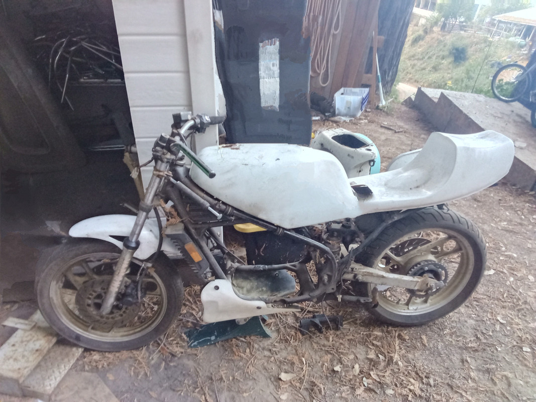 IMG_2024-10-30-17-06-09-887 (1)