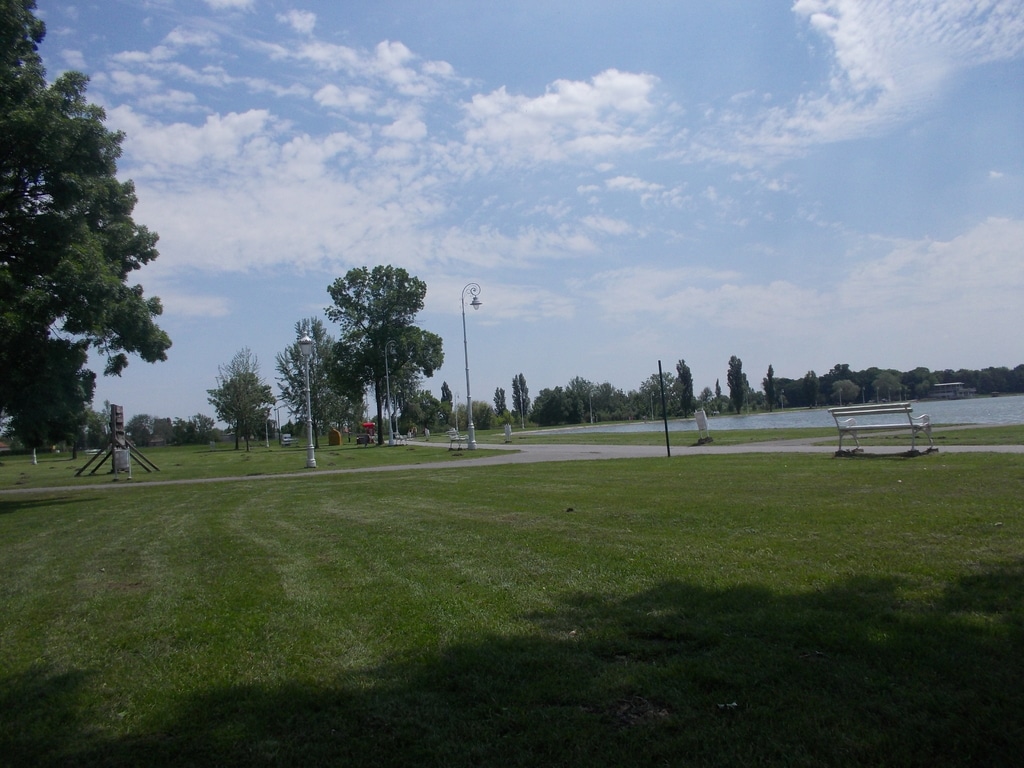 DSCN0311