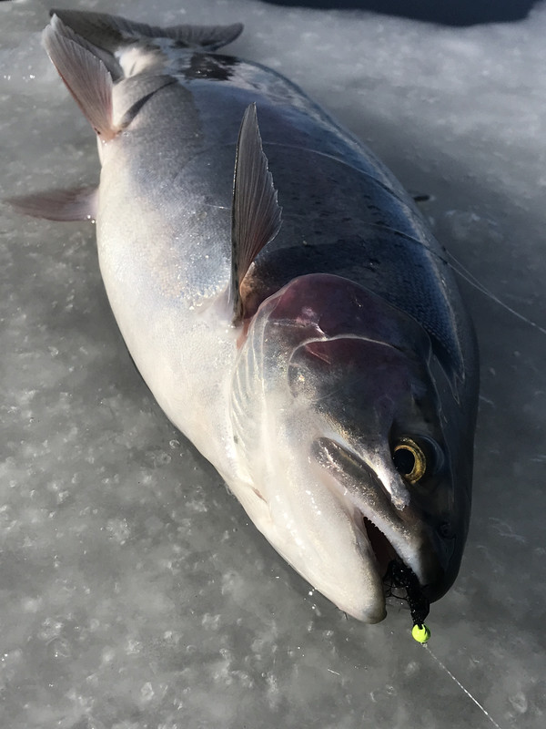 5F15FA98-63A9-44B1-A9A6-5268755C72C3