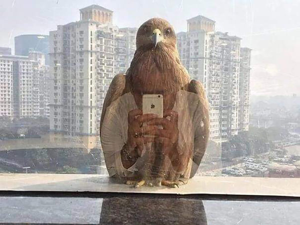 accidental-surrealism-irl-13.jpg