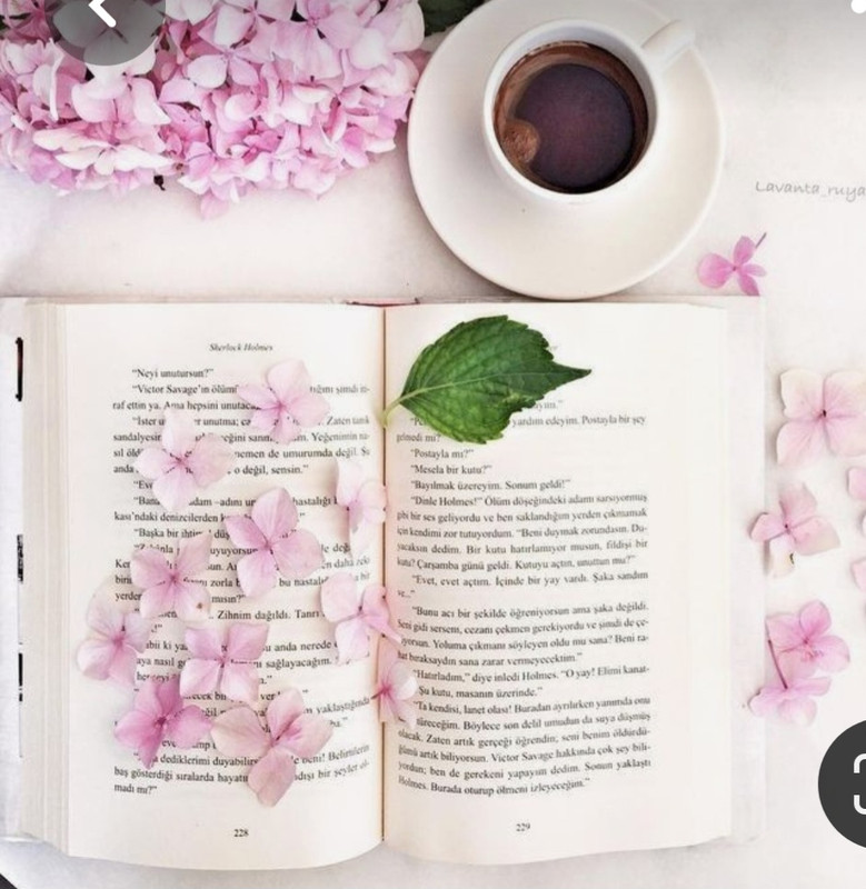 Screenshot_20230426_220348_Pinterest