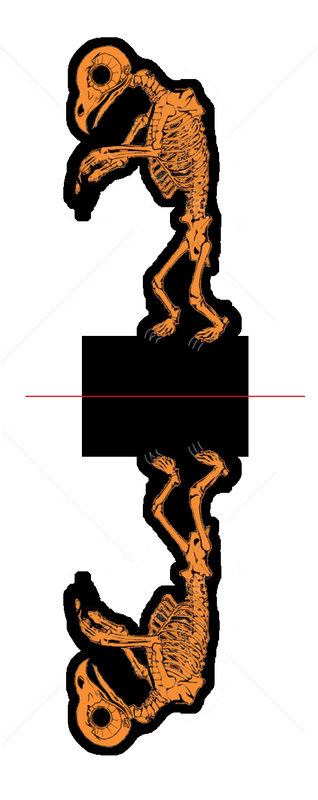 grizzly-skeleton-109411379