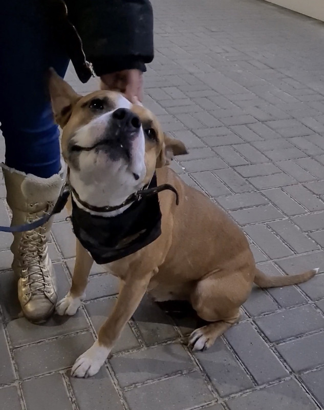 06A10CC9-4D58-4976-A26A-DCE008CFCBFF