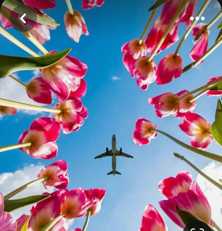 Screenshot_20230614_005846_Pinterest