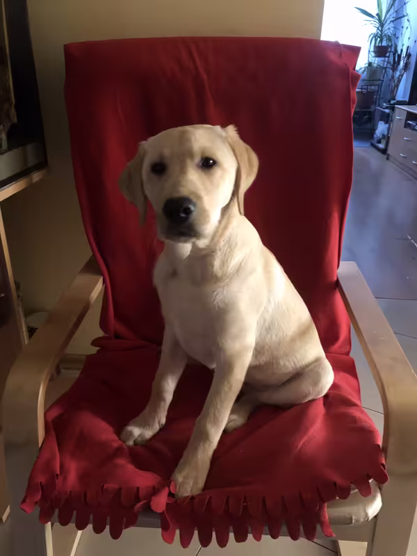 67175689-AC5C-426D-92AE-454899006401