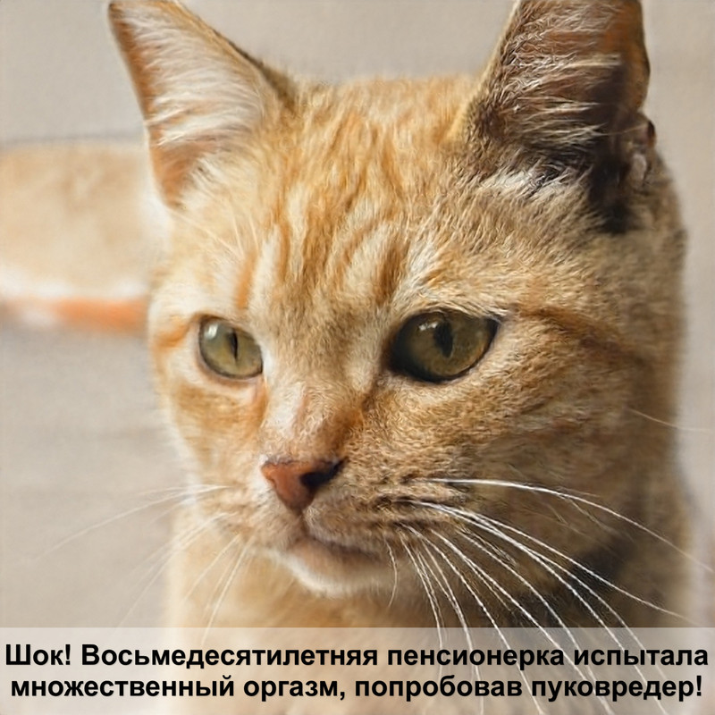 почему белые кошки глухие