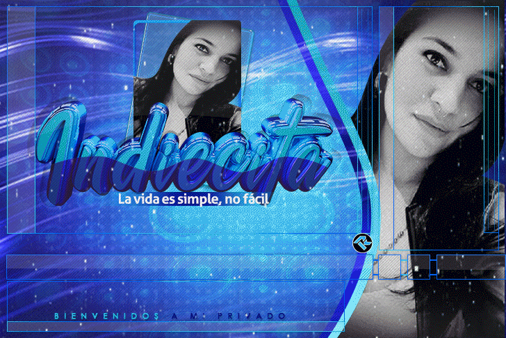 Modelo 22
