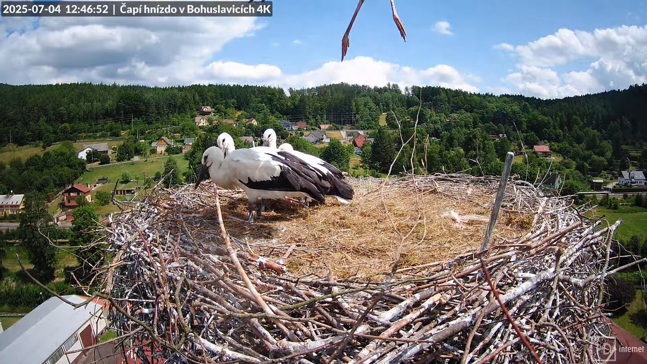 Živě z čapího komína firmy KARA v Bohuslavicích u Trutnova 12-24-18 screenshot (1)