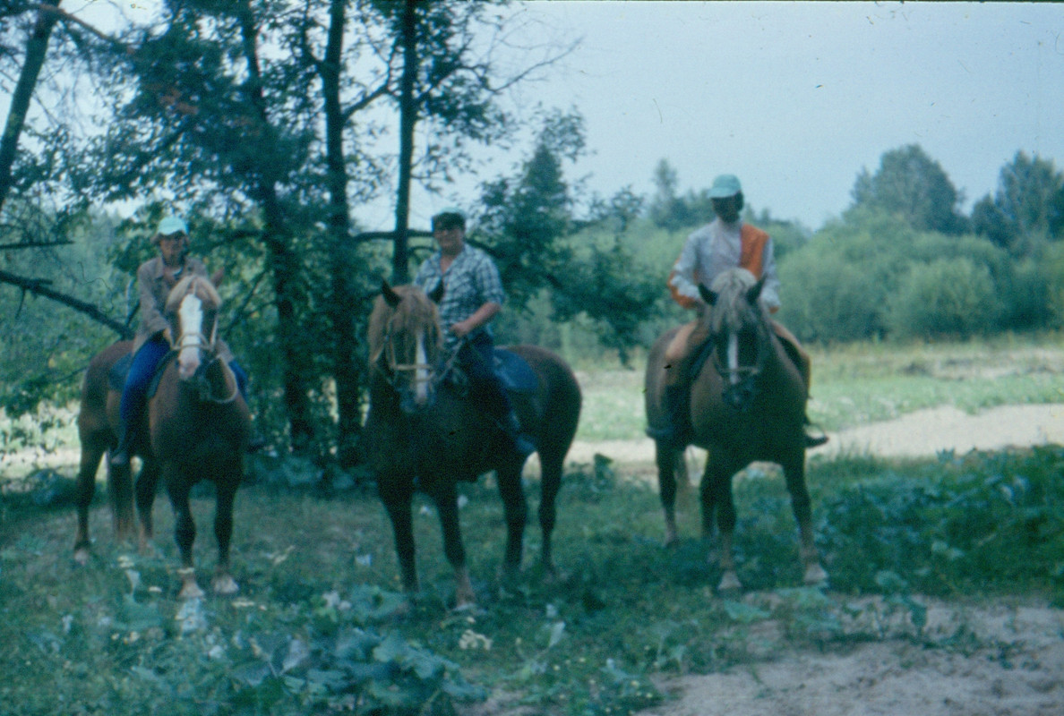 Три богатыря