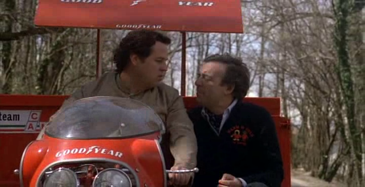 Io-tigro-tu-tigri-egli-tigra-1978-DVDRip