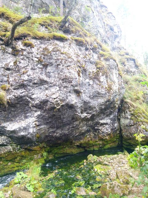 P_20180814_123229_LL[1]