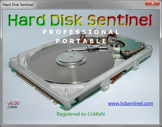 Hard Disk Sentinel Pro 6.00.12540 Final Yl-YYNvn9g7