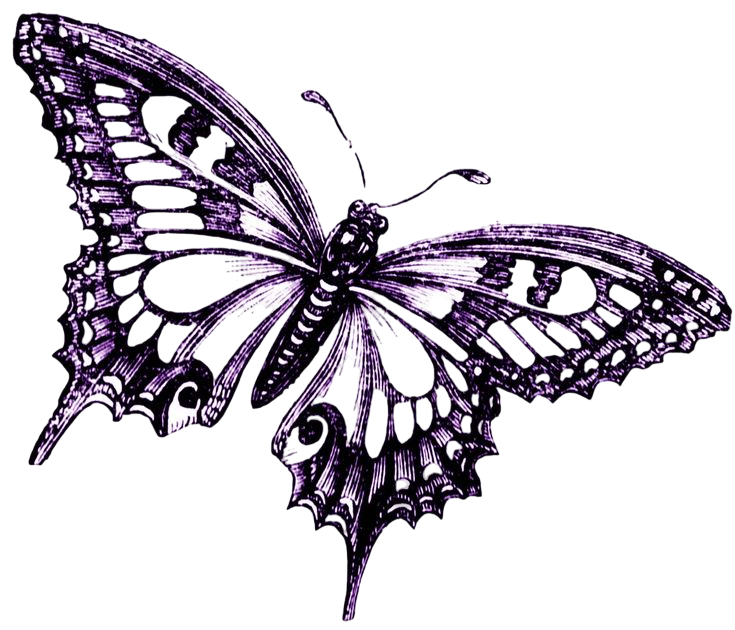 d0c5162b11ab1c8827128075354de3c3-Photoroom (1)