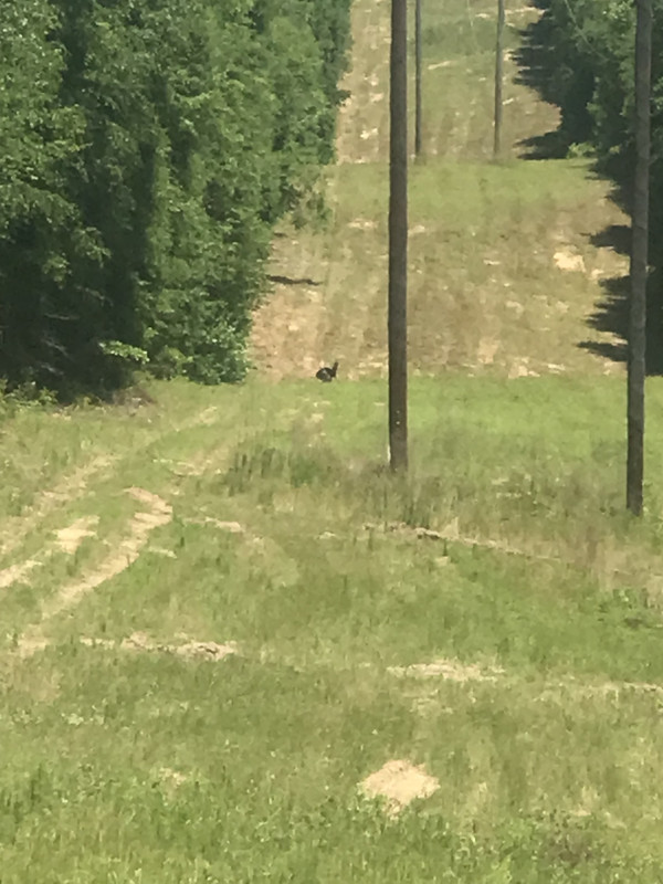 7EBEB3FE-3D7E-452E-B04D-7A4E78F4C8C7